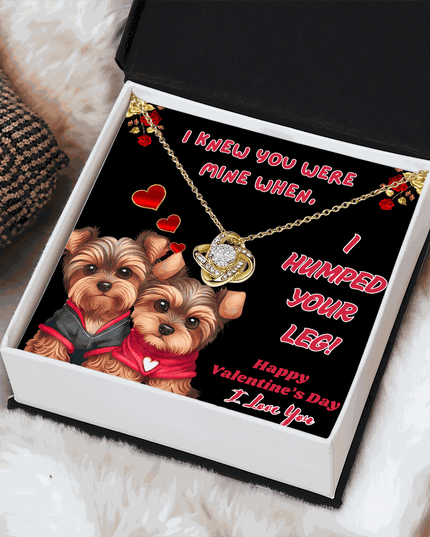 yellow gold love knot necklace in a soft box angled to right