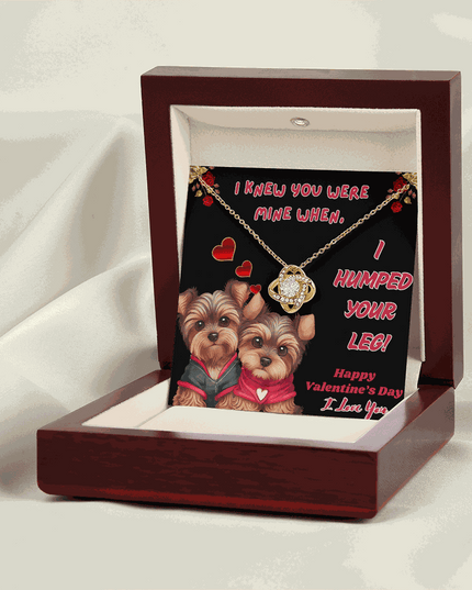 yellow gold love knot necklace in a luxury box with LED light on