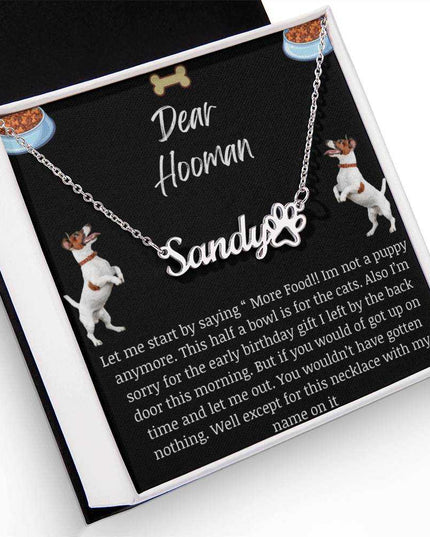 Pet Name Paw Print Necklace with a polished stainless-steel variant on a Dear Human greeting card inside a two-tone box with up close view