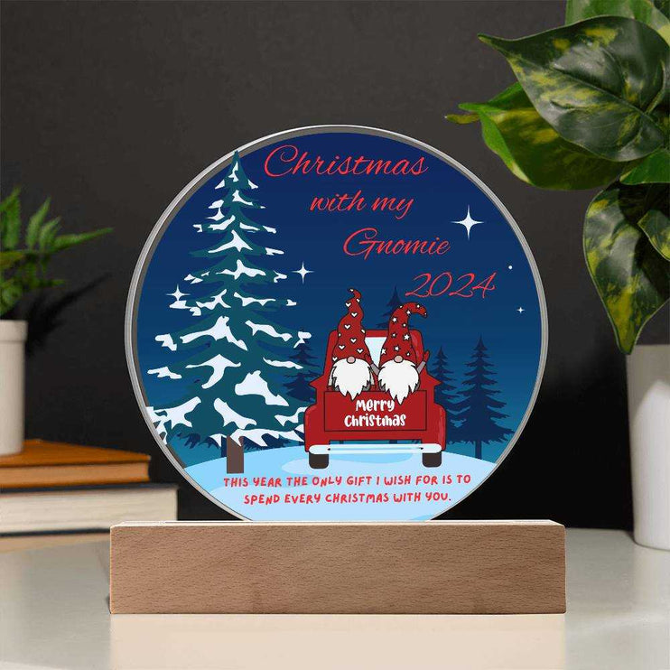 acrylic circle plaque with clear bulb and 12v base