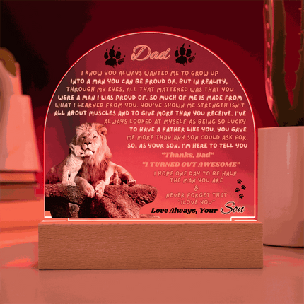 12v acrylic dome plaque with a red light
