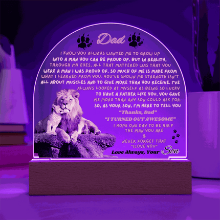 12v acrylic dome plaque with a purple light