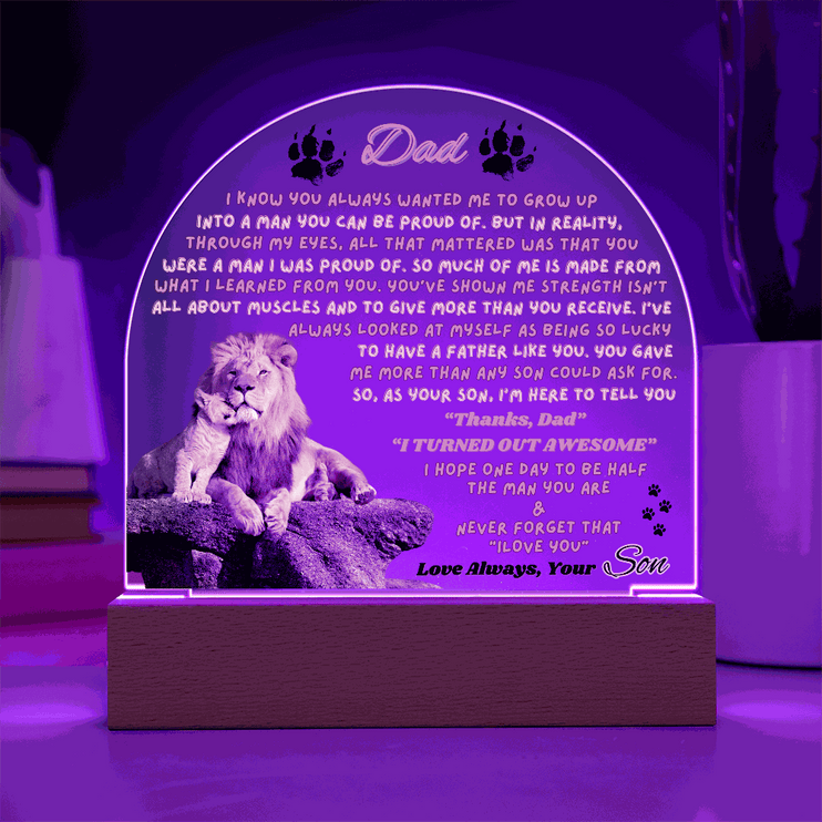 12v acrylic dome plaque with a purple light